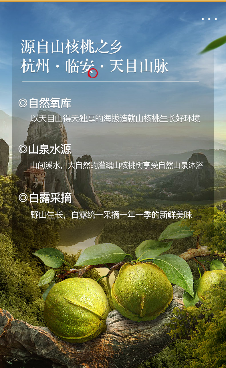 108g山核桃仁-----最新-3(1)_07.jpg