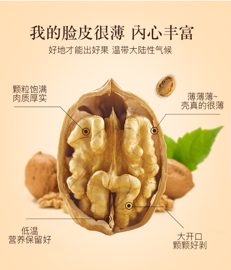 500罐装大核桃_04.jpg