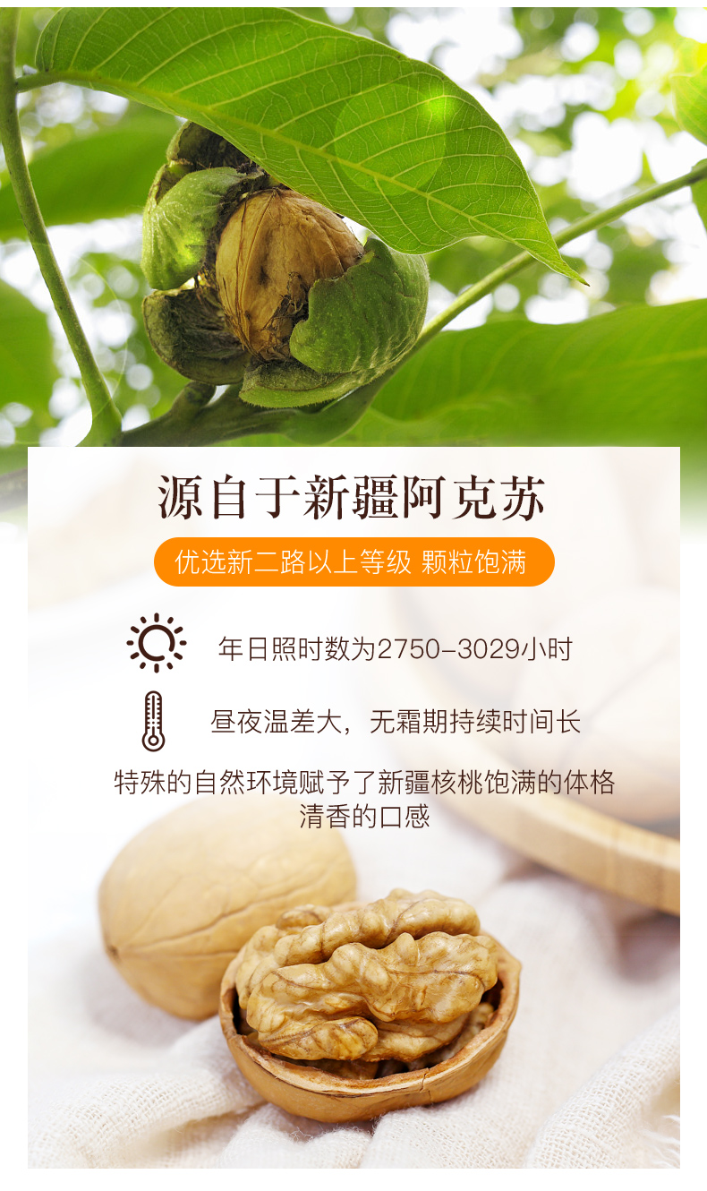 500罐装大核桃_03.jpg