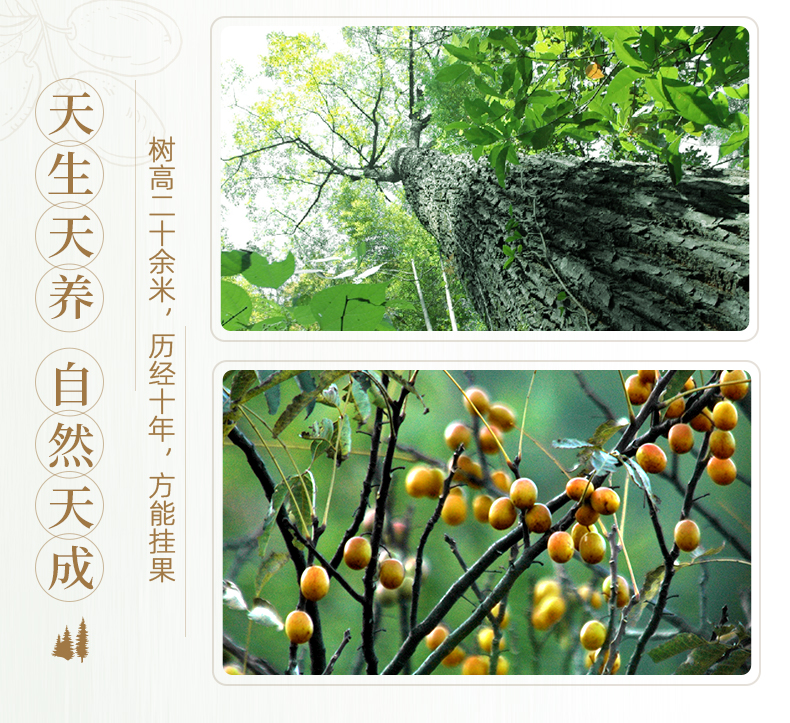 详情_03.jpg