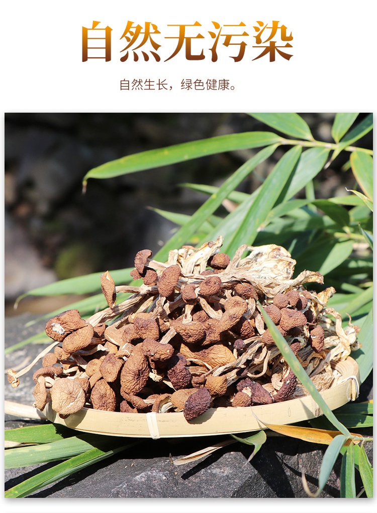 茶树菇_033.jpg