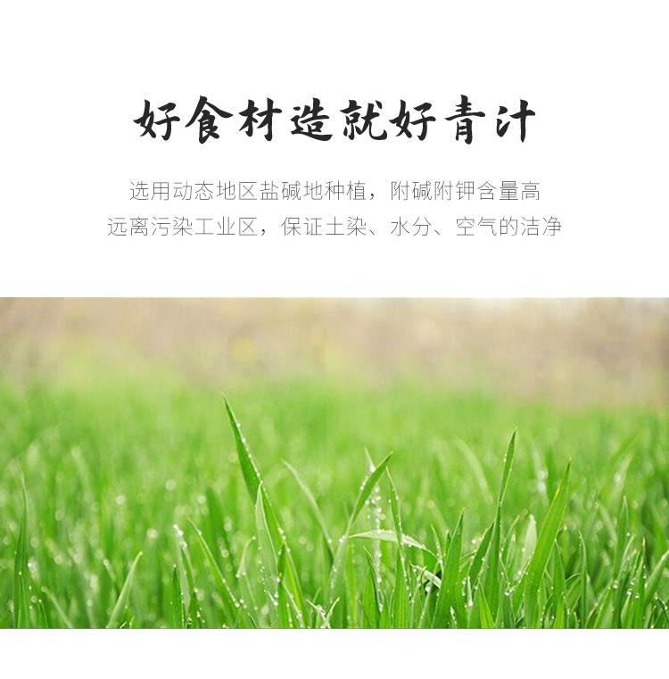 青汁_06.jpg