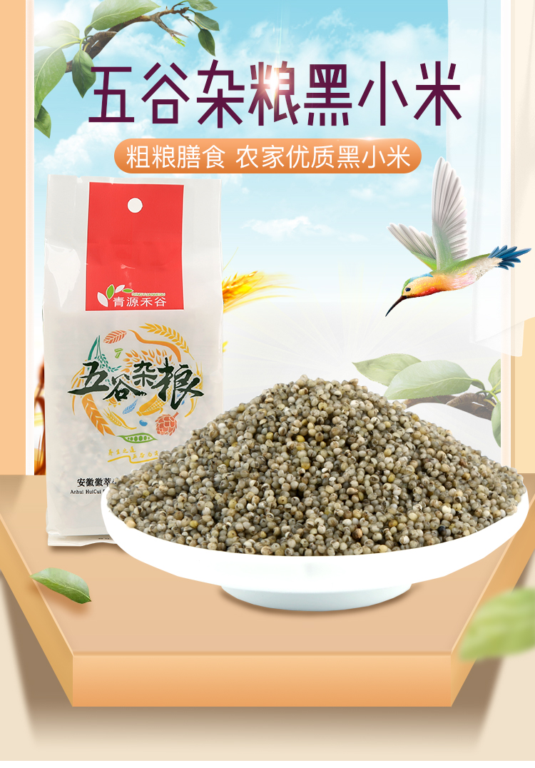 黑小米_01.jpg