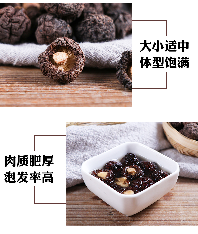 小香菇_06.jpg