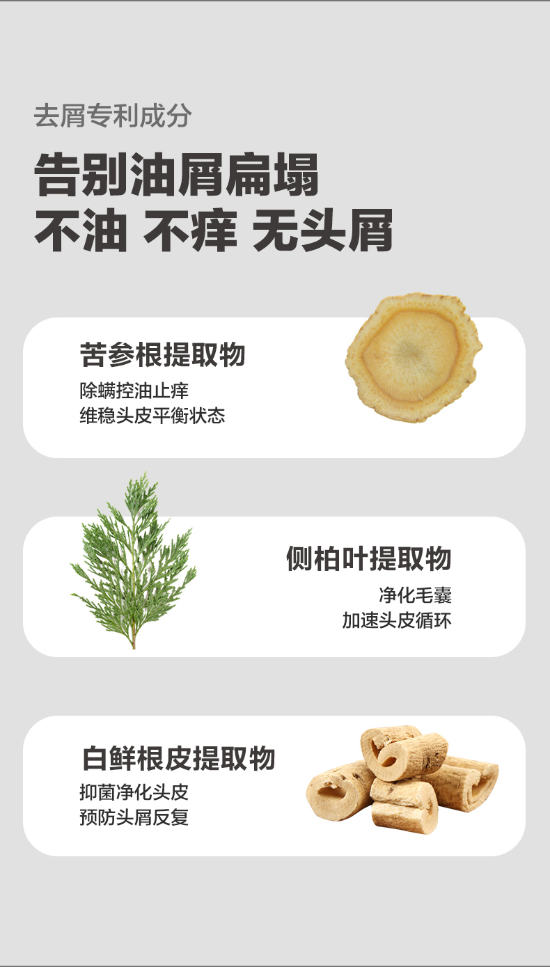茶树去屑洗发水_10.jpg