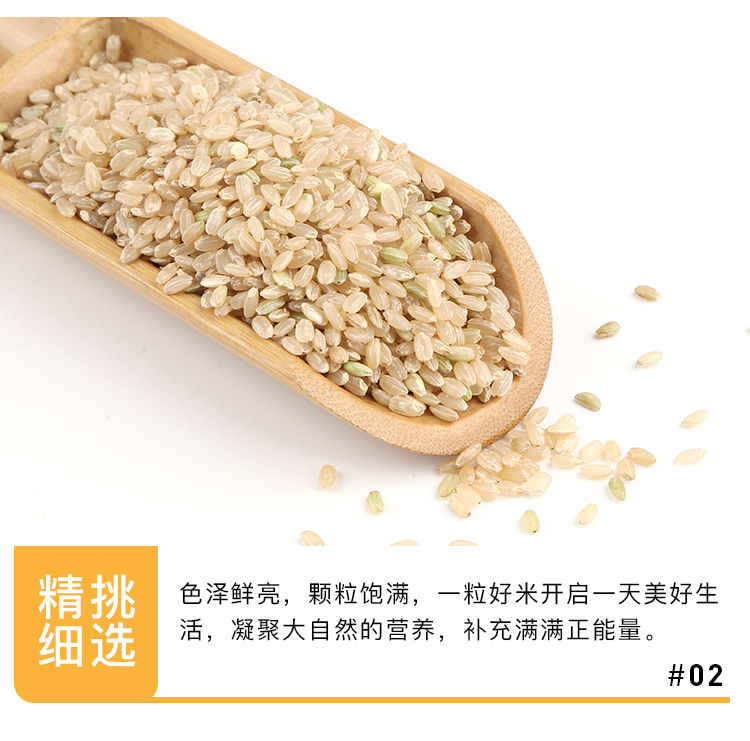 糙米_06.jpg