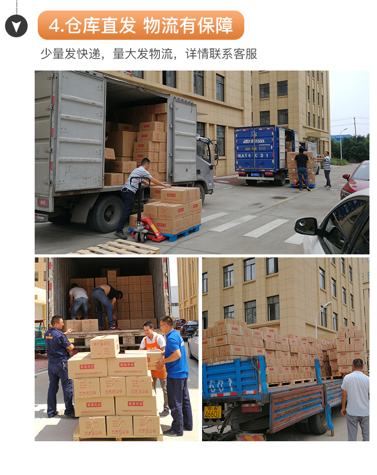 红小豆_16.jpg