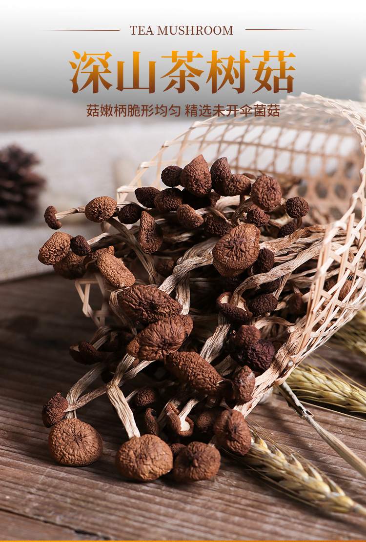 茶树菇_01.jpg