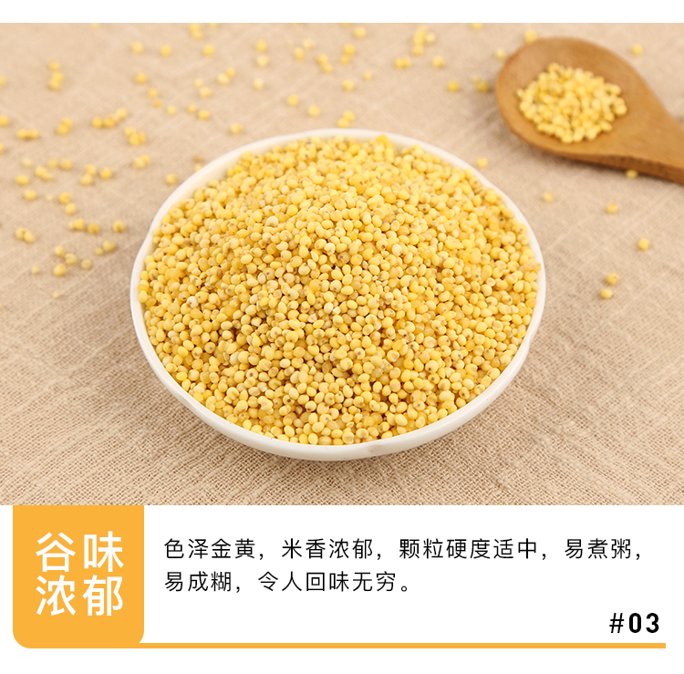 大黄米_07.jpg