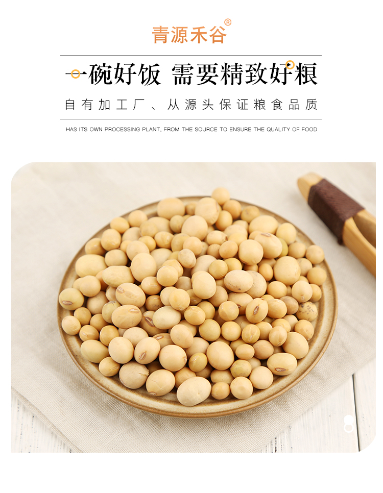 黄豆_03.jpg