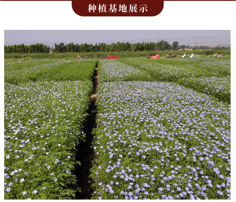 冷榨亚麻籽油500X2_42.jpg