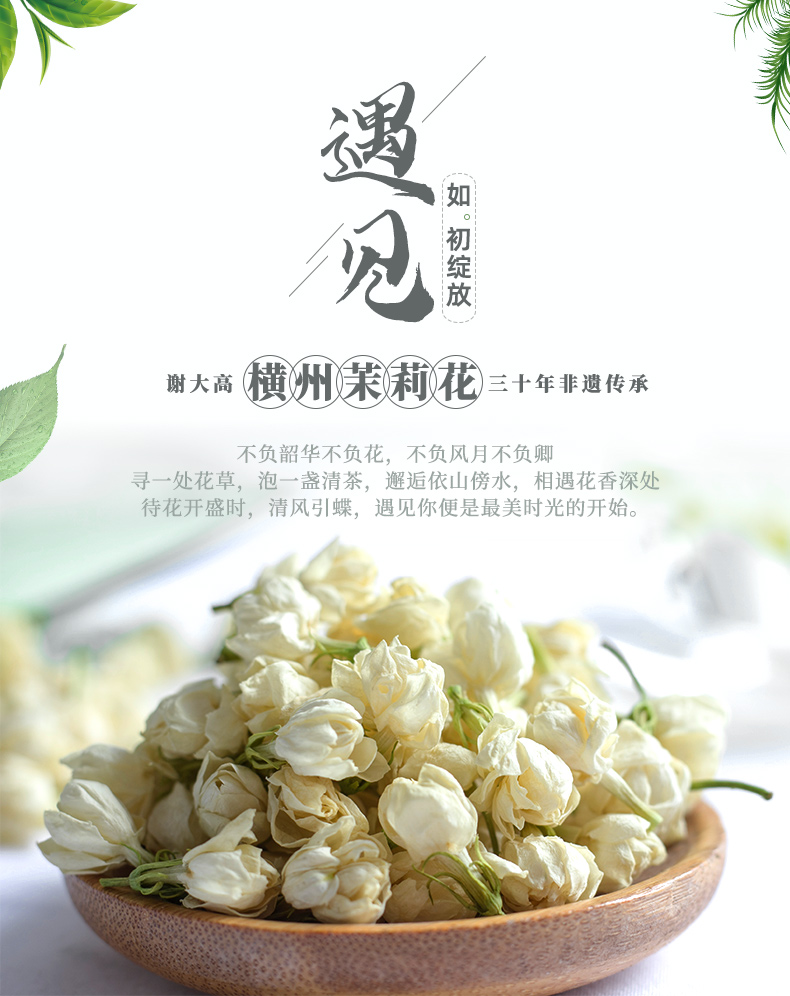 茉莉花2(1)_01.jpg