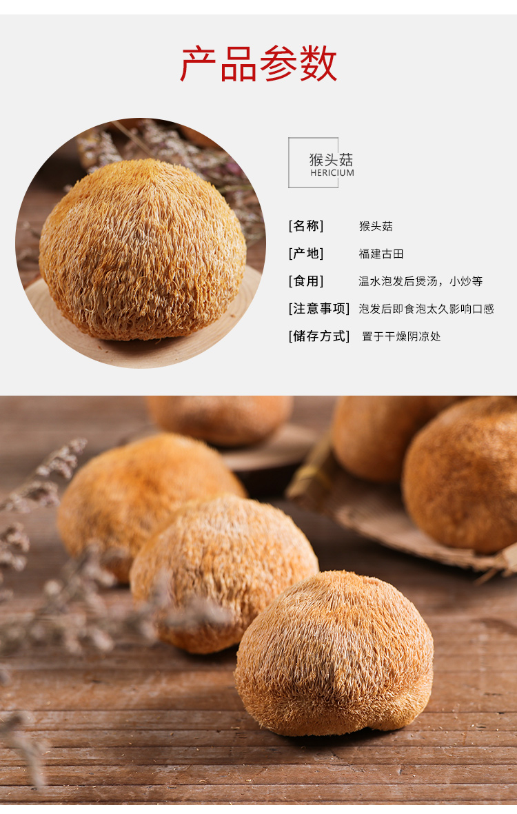 猴头菇2_06.jpg