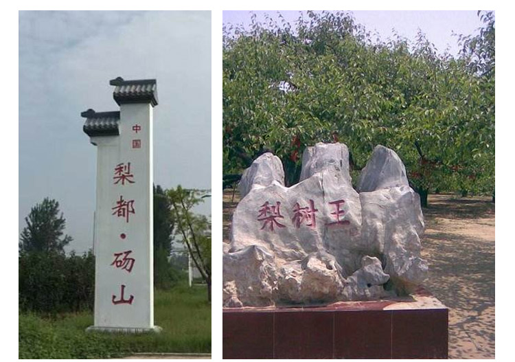 秋梨膏详情页[最终版]_13.jpg