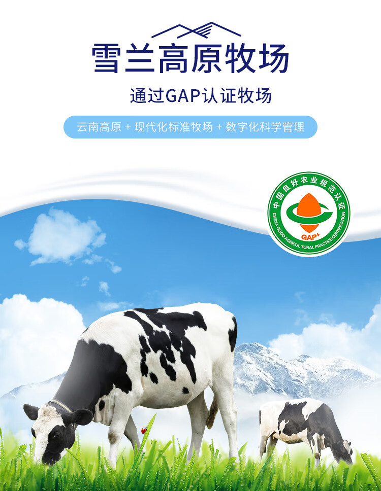 详情-05.jpg