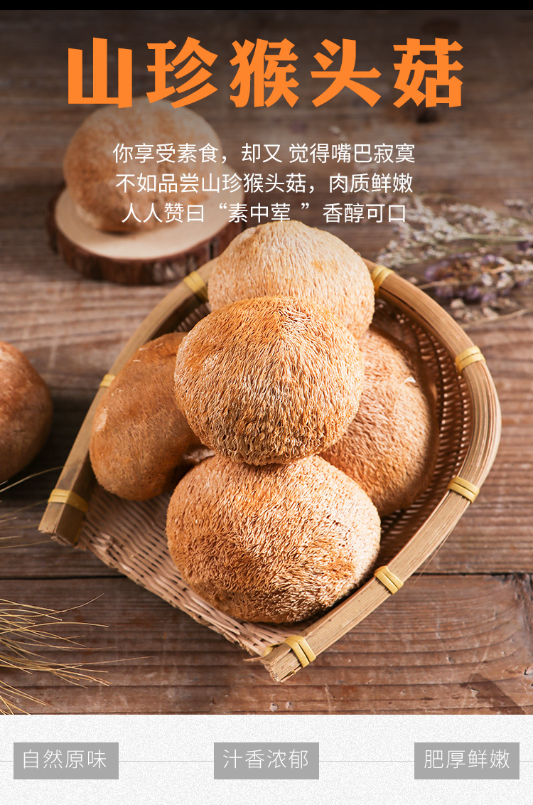 猴头菇2_01.jpg