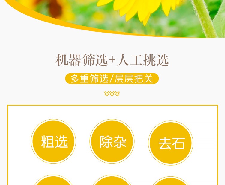 图片_4.jpg