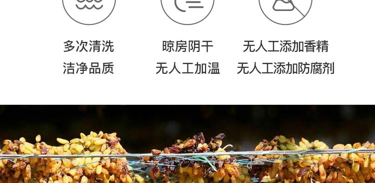 绿香妃_14.jpg