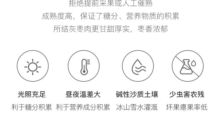 灰枣_07.jpg