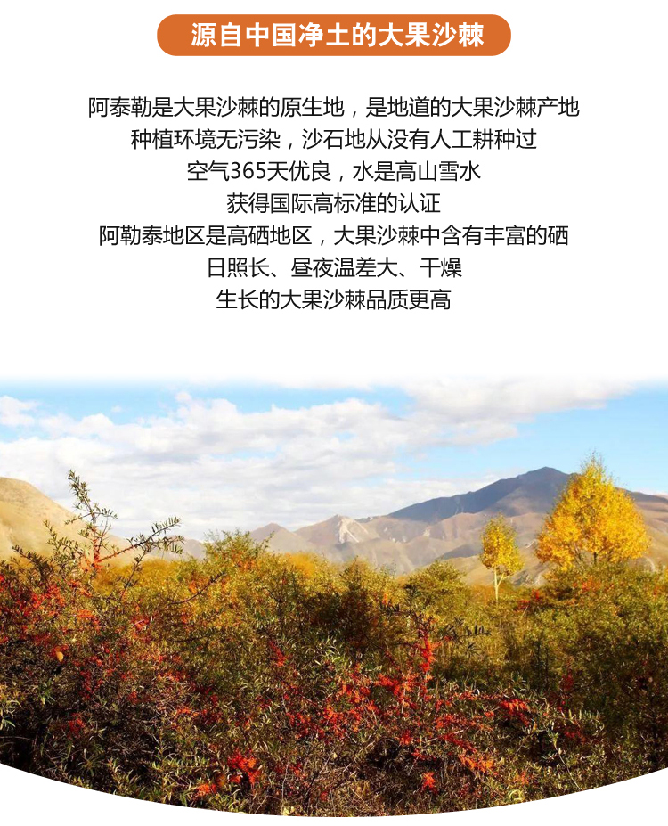 详情图片_05.jpg