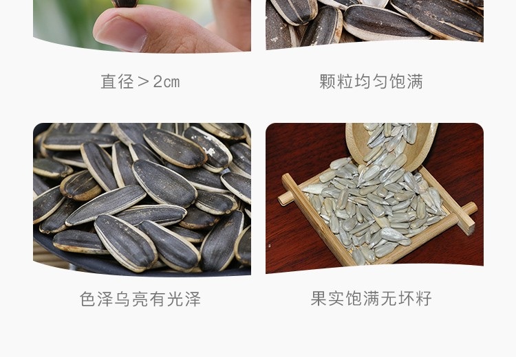 图片_10.jpg