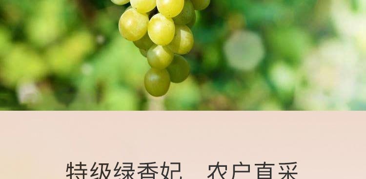 绿香妃_09.jpg
