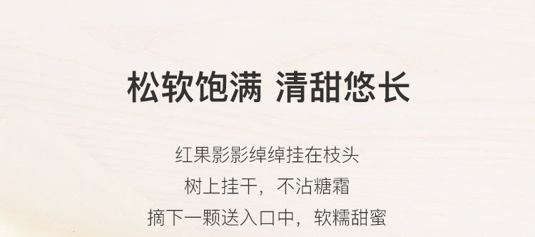 大枣_01.jpg