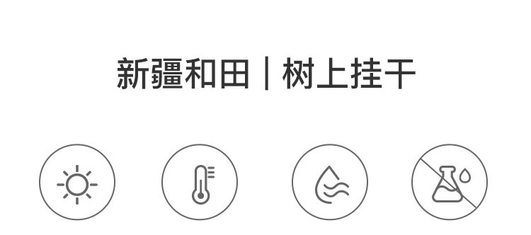 大枣_08.jpg