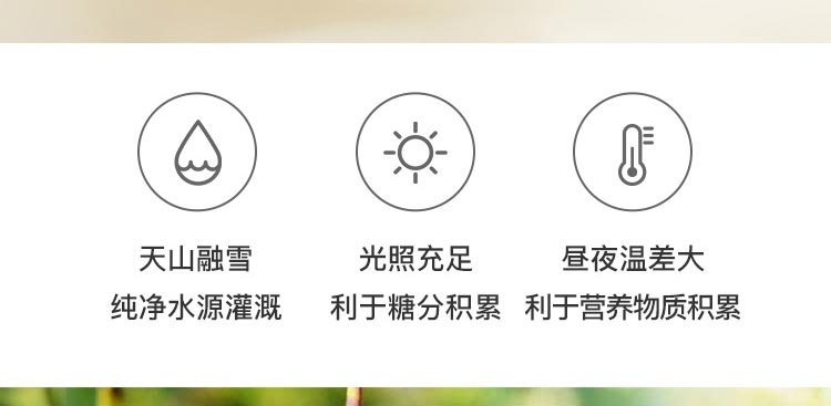 绿香妃_07.jpg