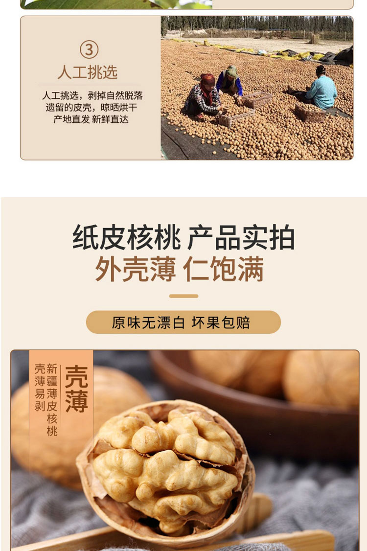 核桃详情_09.jpg