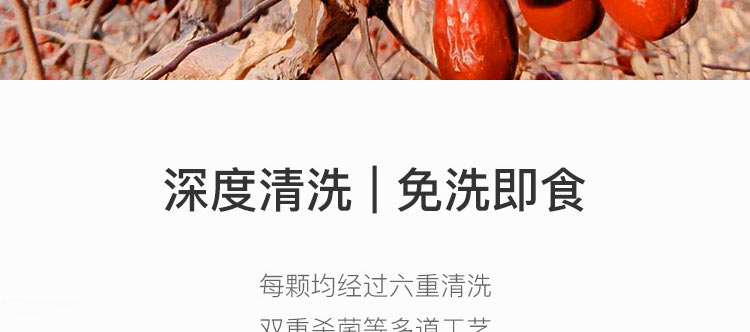 大枣_11.jpg