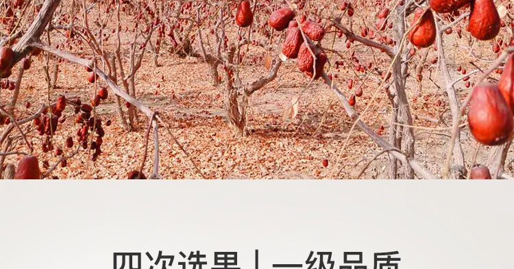 灰枣_09.jpg