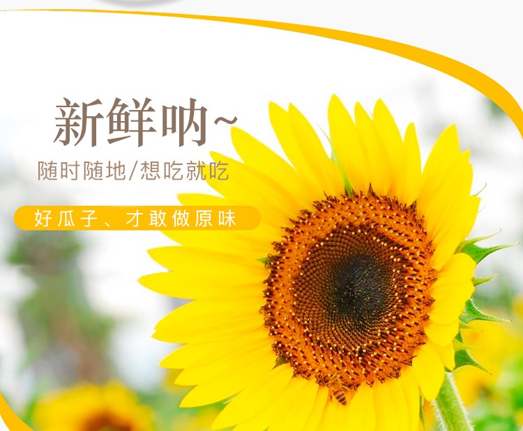 图片_3.jpg