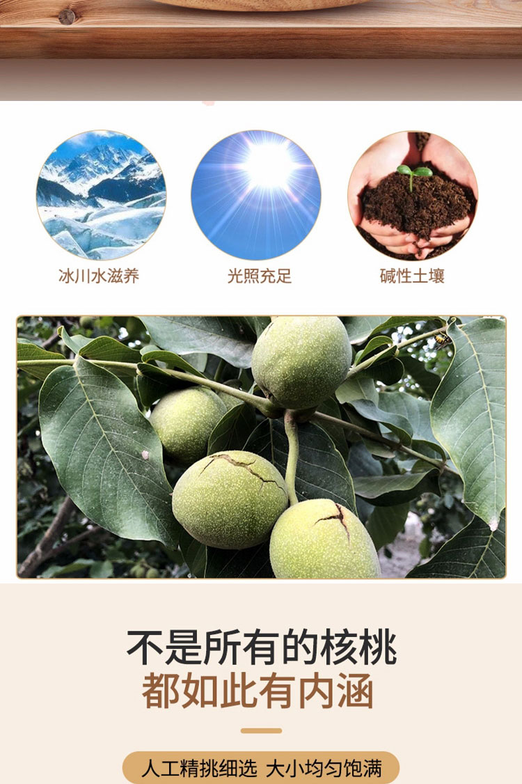 核桃详情_02.jpg