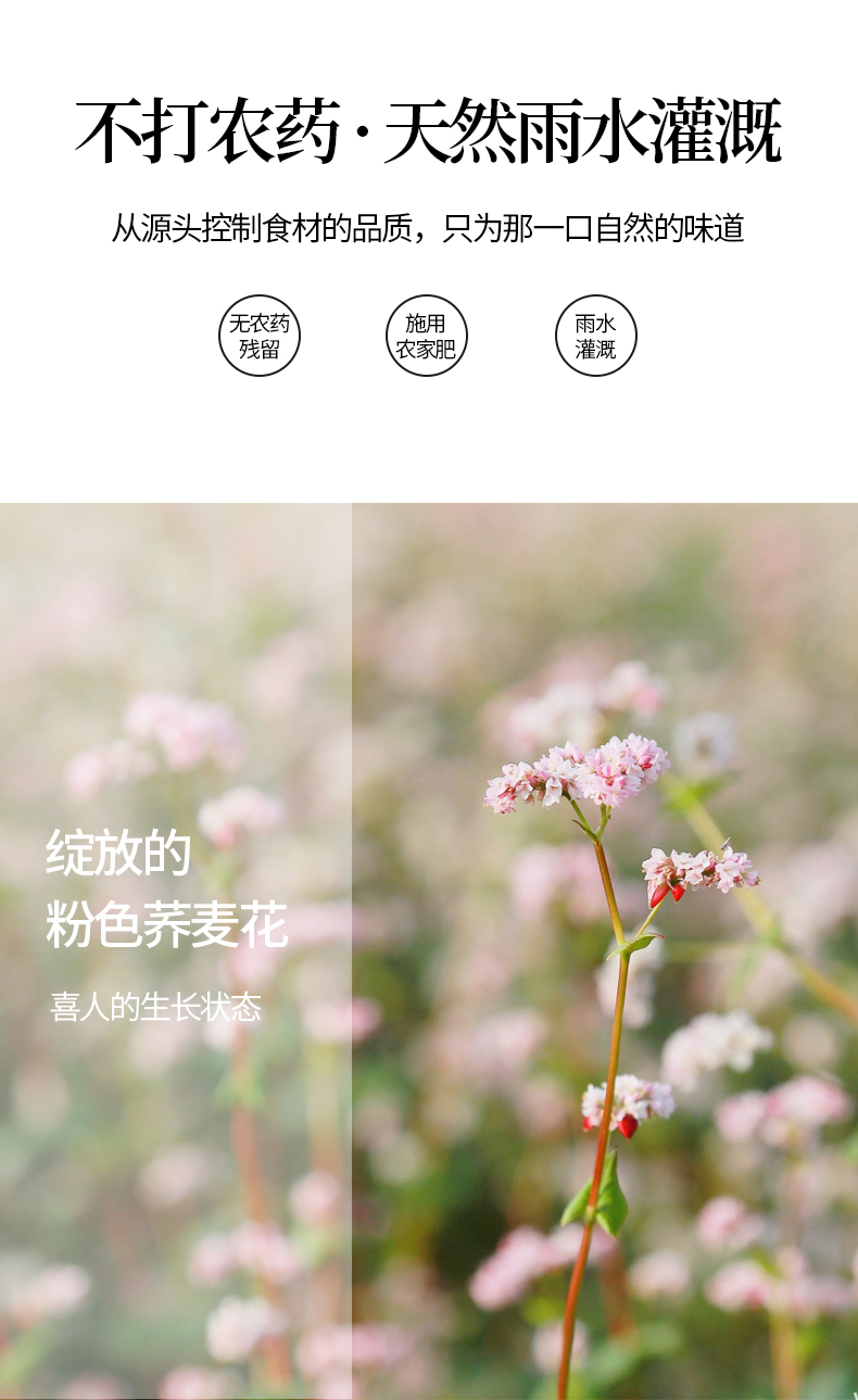 荞麦仁详情页_05.jpg
