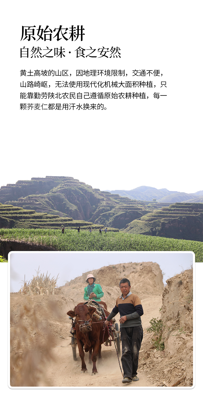 荞麦仁详情页_03.jpg