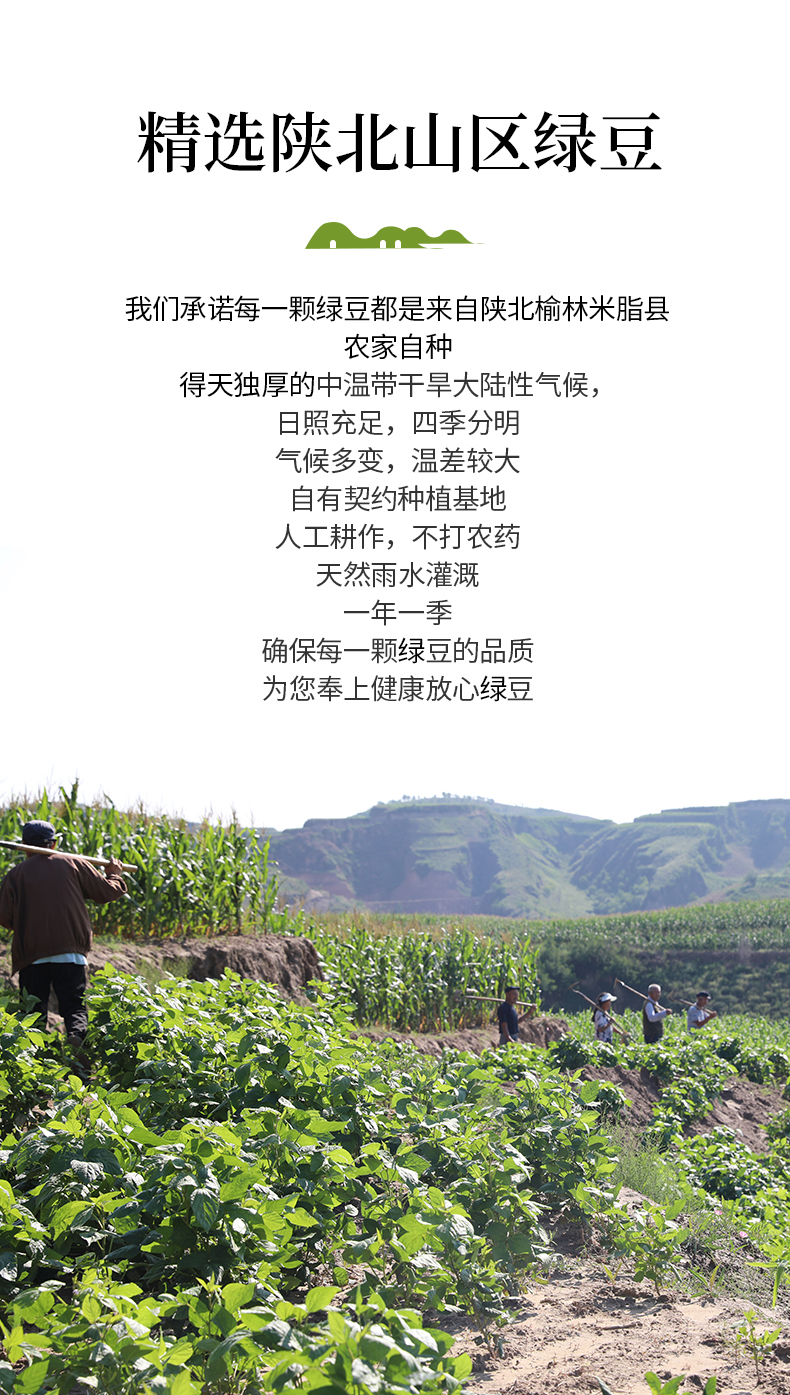 绿豆详情页_02.jpg