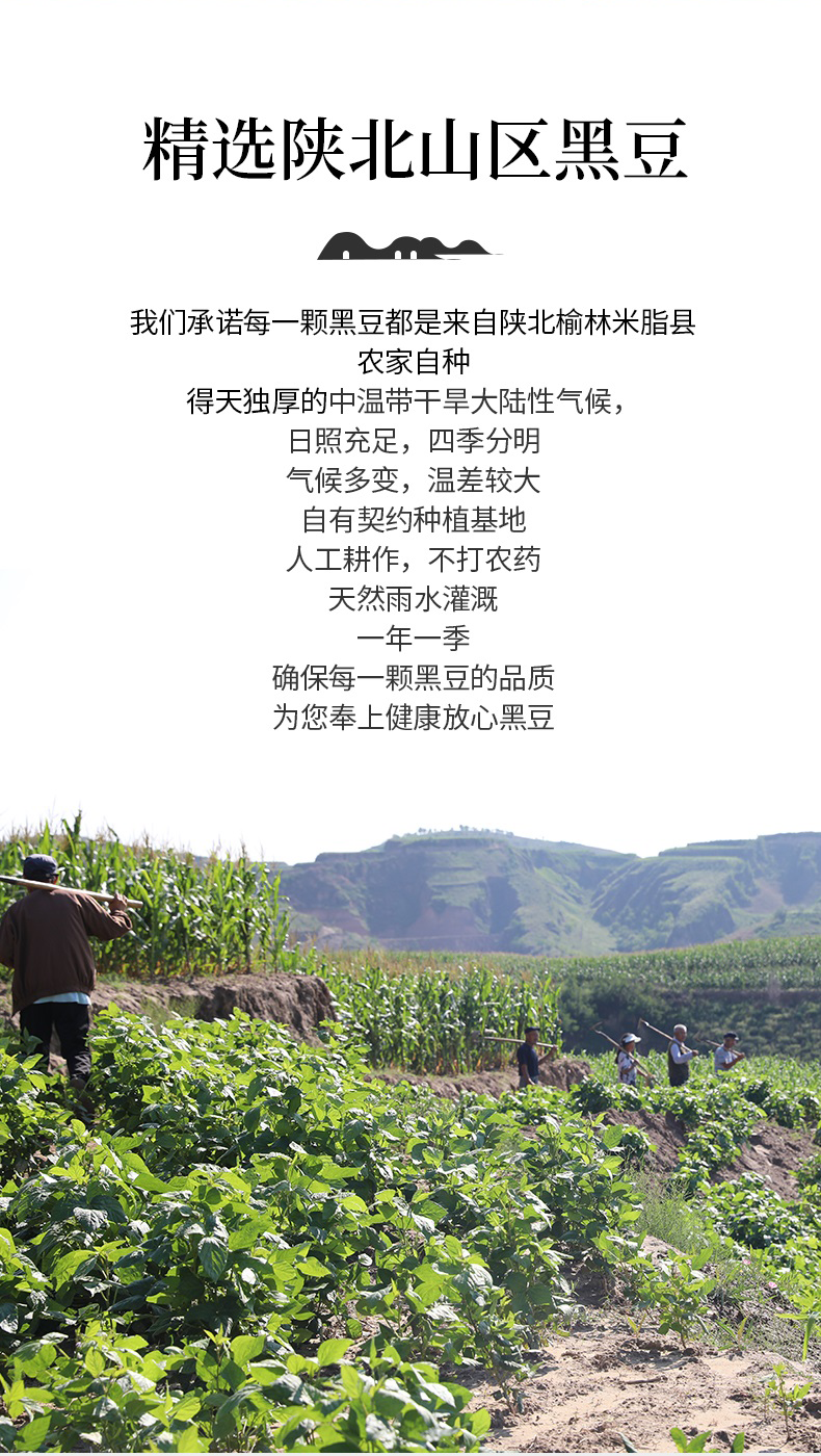 黑豆详情页_02.png