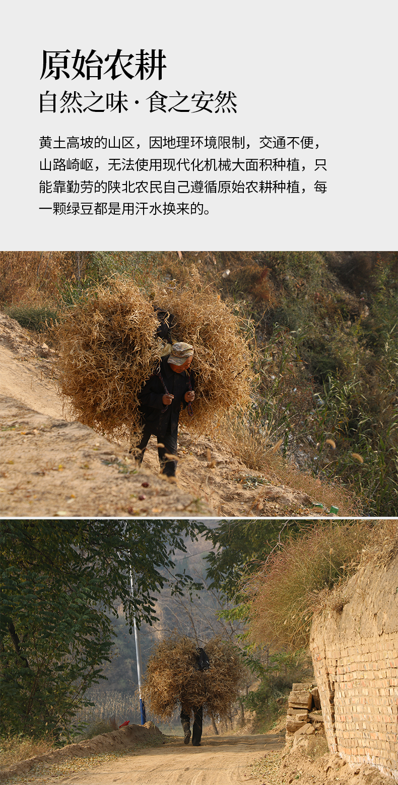 绿豆详情页_03.jpg
