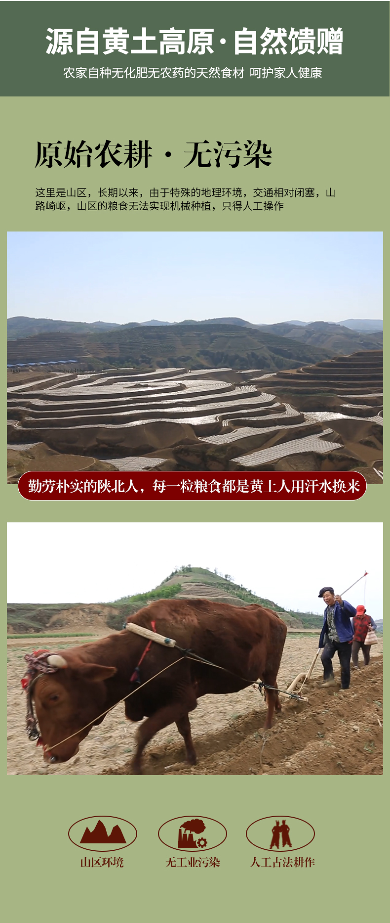 礼盒详情页_04.jpg