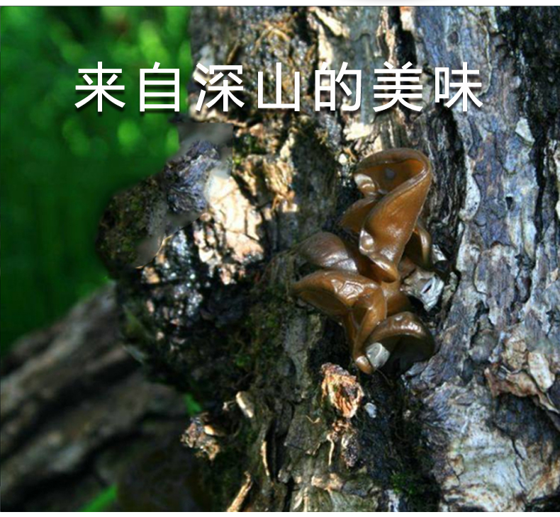 70木耳500g(袋装）详情页_02.jpg