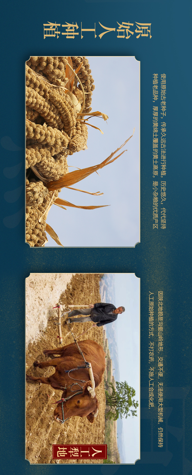 布袋（1）_09.jpg