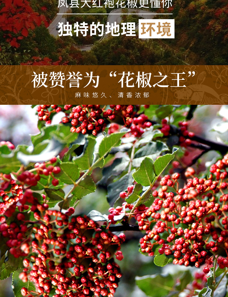 凤椒芽菜酱详情_03.jpg
