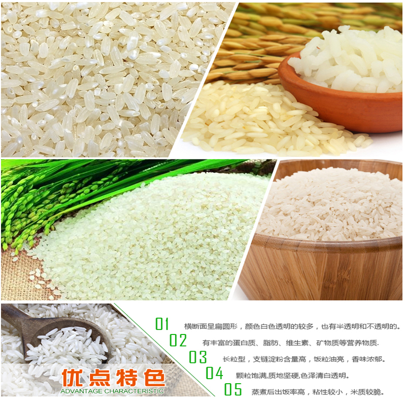 大米3.jpg