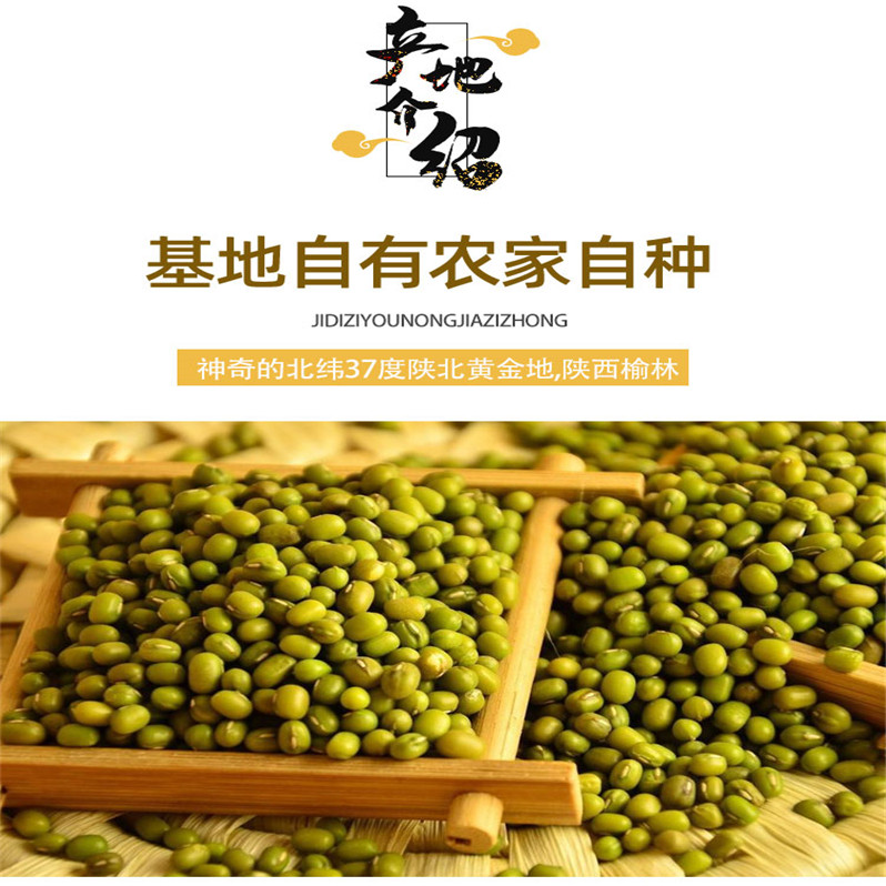 绿豆_02.jpg