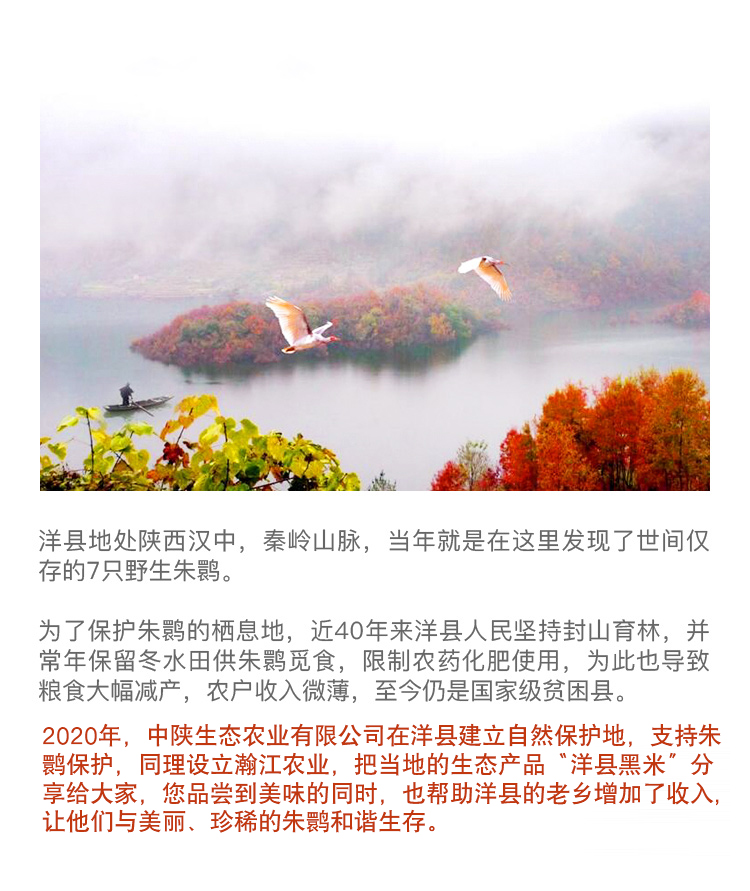 洋县礼盒黑米2000g详情图2.jpg