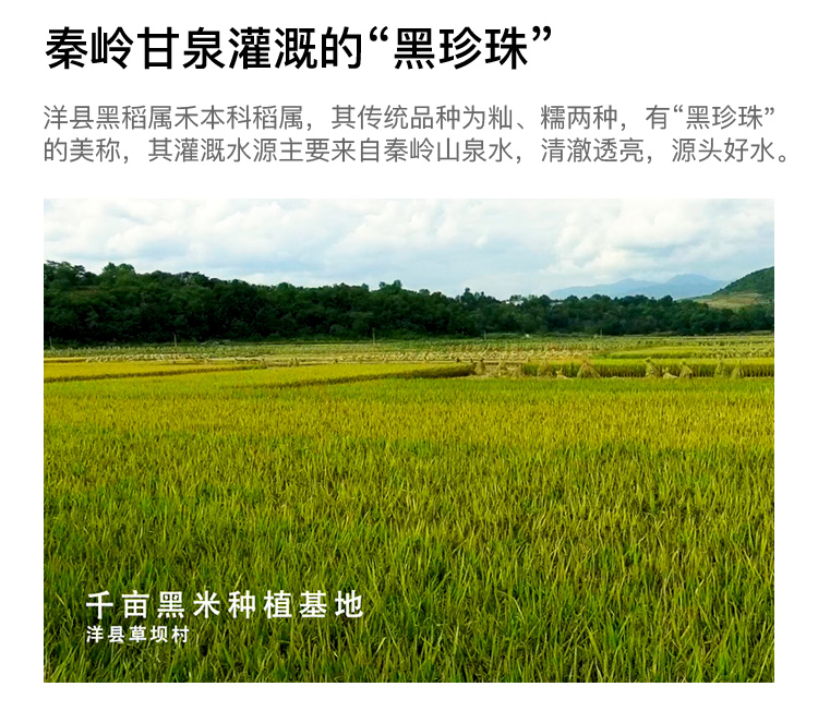 洋县礼盒黑米2000g详情图5.jpg